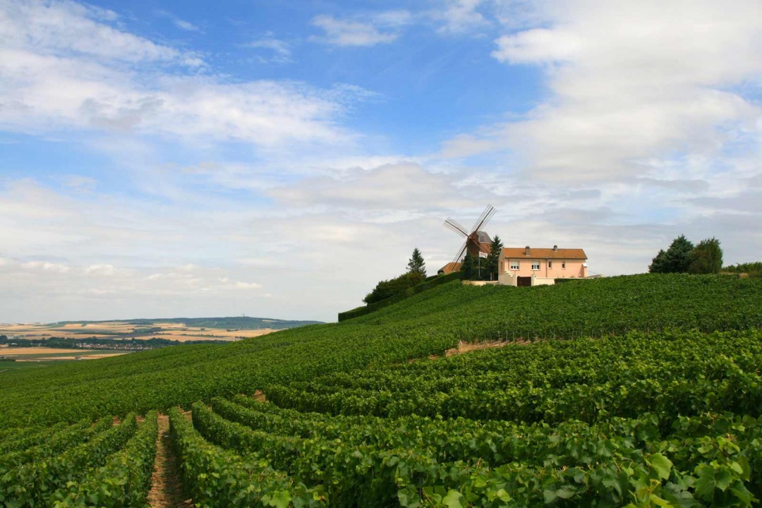 Route du champagne 2016 Aube Champagne Travel